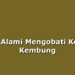 Cara Alami Mengobati Kelinci Kembung