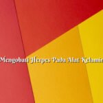 Cara Mengobati Herpes Pada Alat Kelamin Pria