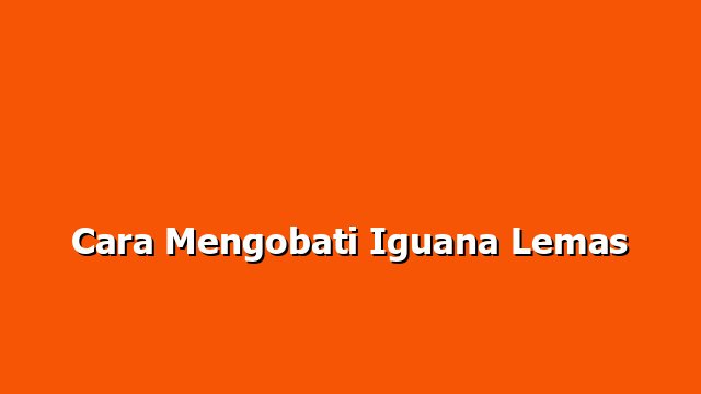 Cara Mengobati Iguana Lemas